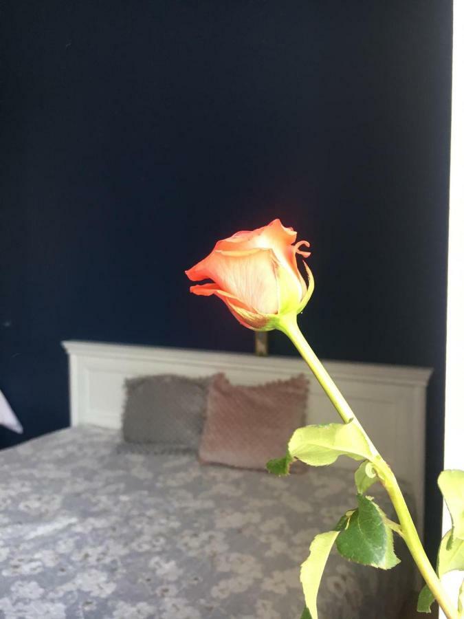 אופולה Apartament Rynek 11B מראה חיצוני תמונה